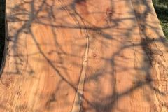 kovacsferenc_fabutor_002