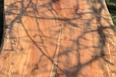 kovacsferenc_fabutor_031