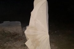 0023_20200719_211245_800