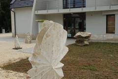 0023_20200823_124024_800